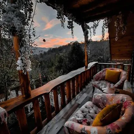 ızmocedağevi * Sapanca